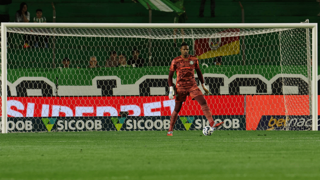 carlos miguel palmeiras