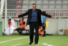 تشاموسكا - التعاون