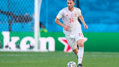 إيمريك لابورت