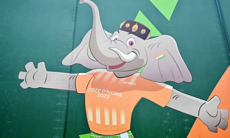 شعار كأس أمم إفريقيا 2023 (المصدر:Gettyimages)