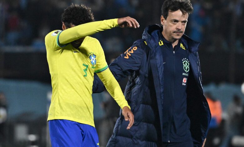 فيرناندو دينيز - منتخب البرازيل