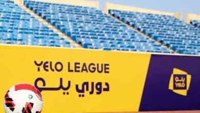 دوري يلو 2024