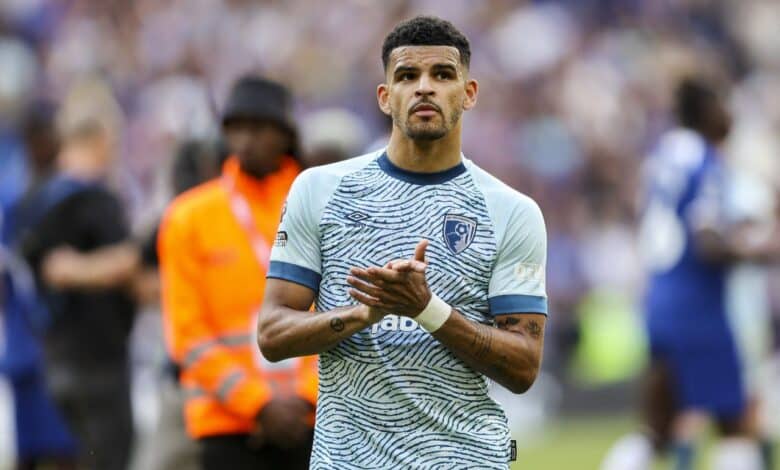 دومينيك سولانكي