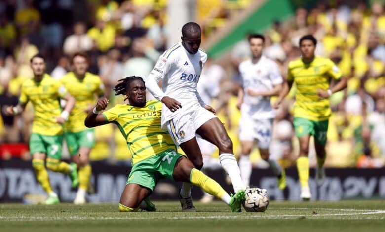 نورويتش سيتي ضد ليدز يونايتد