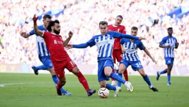 ليفربول ضد برايتون