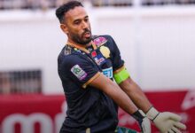 أنس الزنيتي