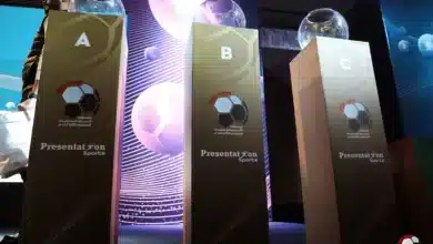 ما الأندية التي تصارع للنجاة من الهبوط في الدوري المصري 2025؟