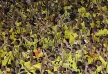 جماهير الاتحاد