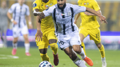 نبيل فقير لاعب الجزيرة