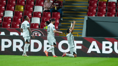 الجزيرة الإماراتي