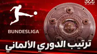 جدول ترتيب الدوري الألماني موسم 2024/2025