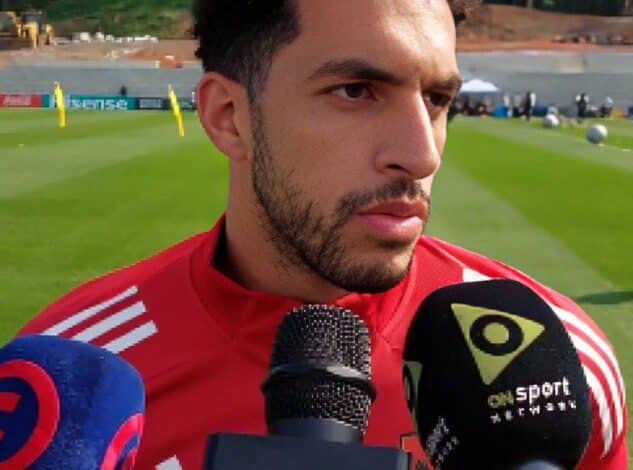 مصطفى شوبير