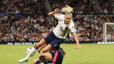 بونوتشي - ستيف هوتون