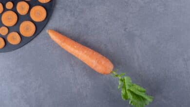 جزرة - رامي كعيب