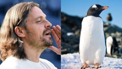 getty Images - لوتز بفانينستيل