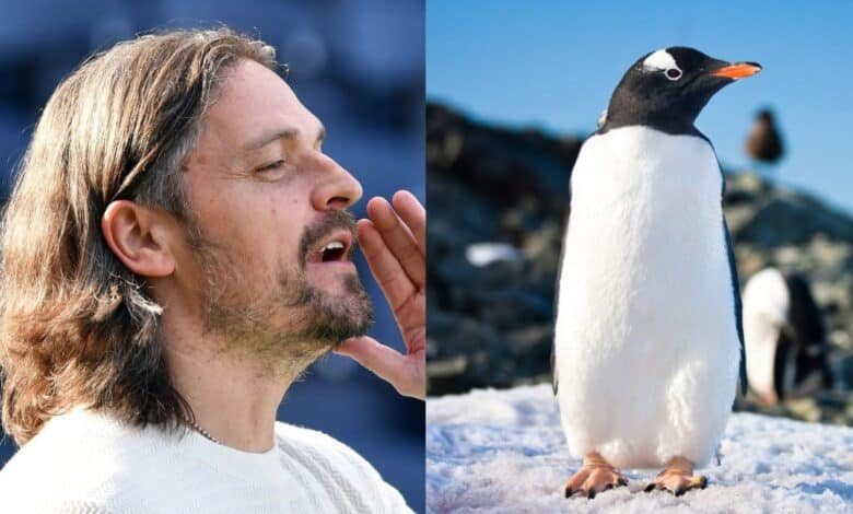 getty Images - لوتز بفانينستيل