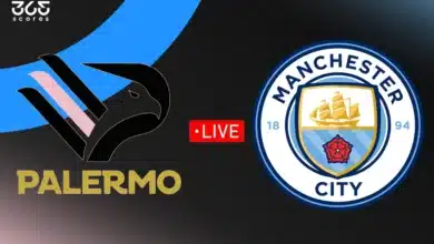 مباراة مانشستر سيتي ضد باليرمو