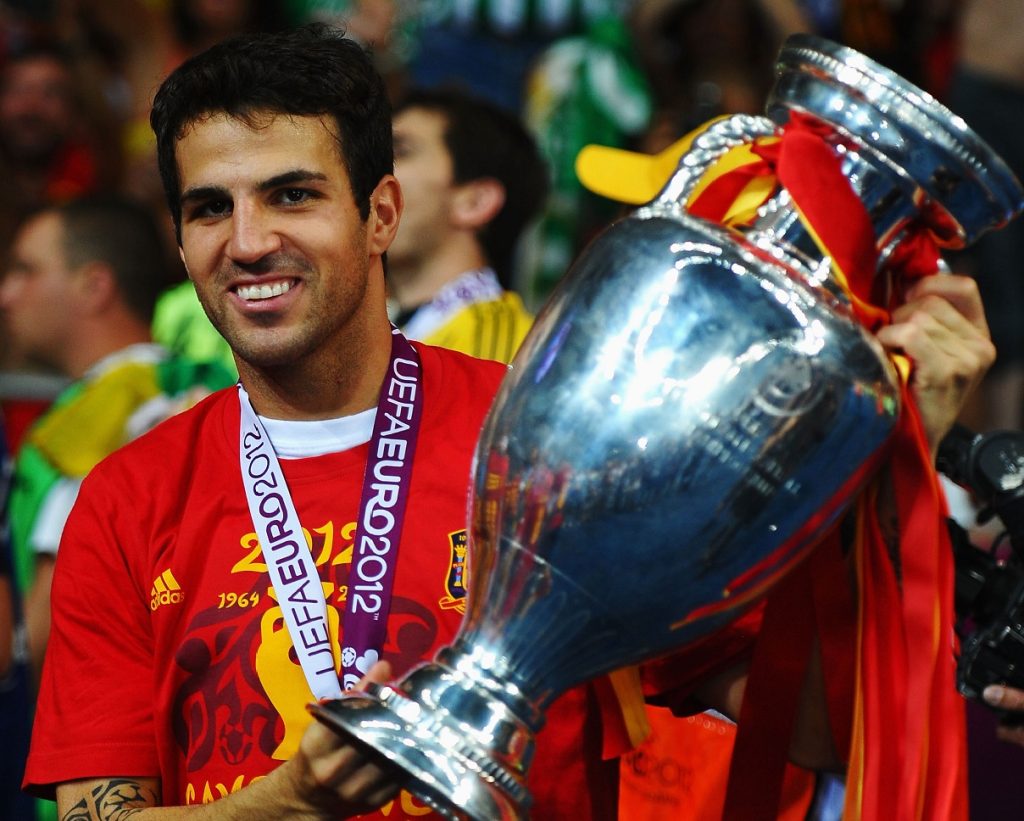 سيسك فابريجاس - منتخب إسبانيا - المصدر (Getty images)