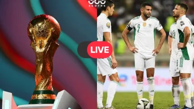 قناة ناقلة مجانًا.. أين تشاهد البث المباشر لمباراة الجزائر والصومال اليوم؟