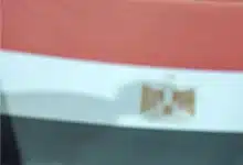 ما القناة الناقلة لمباراة مصر وفنزويلا؟ وأين تشاهد مباريات كأس العالم للناشئين مجانًا؟