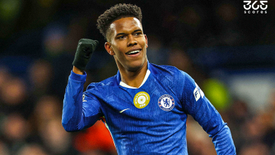 إستيفاو (المصدر:gettyimages)