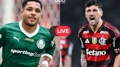 بث مباشر بالميراس وفلامنجو الآن: مشاهدة نهائي كوبا ليبرتادوريس