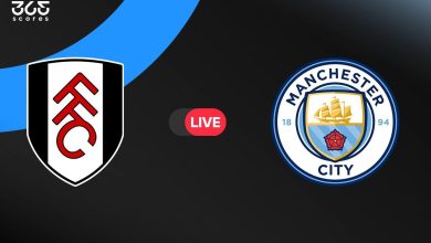 مانشستر سيتي ضد فولهام