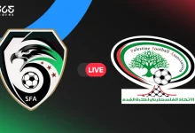 فلسطين ضد سوريا