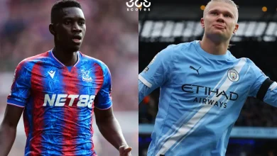 مهمة صعبة.. 5 معلومات عن مباراة مانشستر سيتي ضد كريستال بالاس في الدوري الإنجليزي