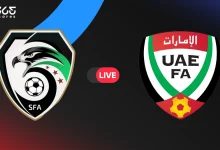 الإمارات ضد سوريا