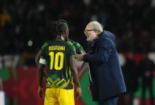 توم سينتفيت - مدرب مالي (المصدر:Gettyimages)