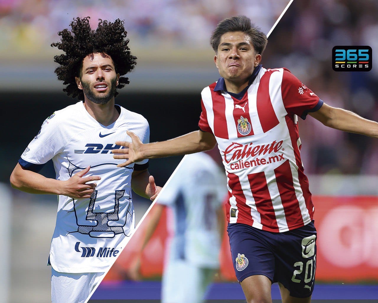 Pumas vs Chivas pronósticos Chivas vs Pumas