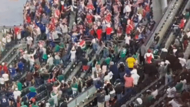 mexico vs estados unidos pelea gradas video