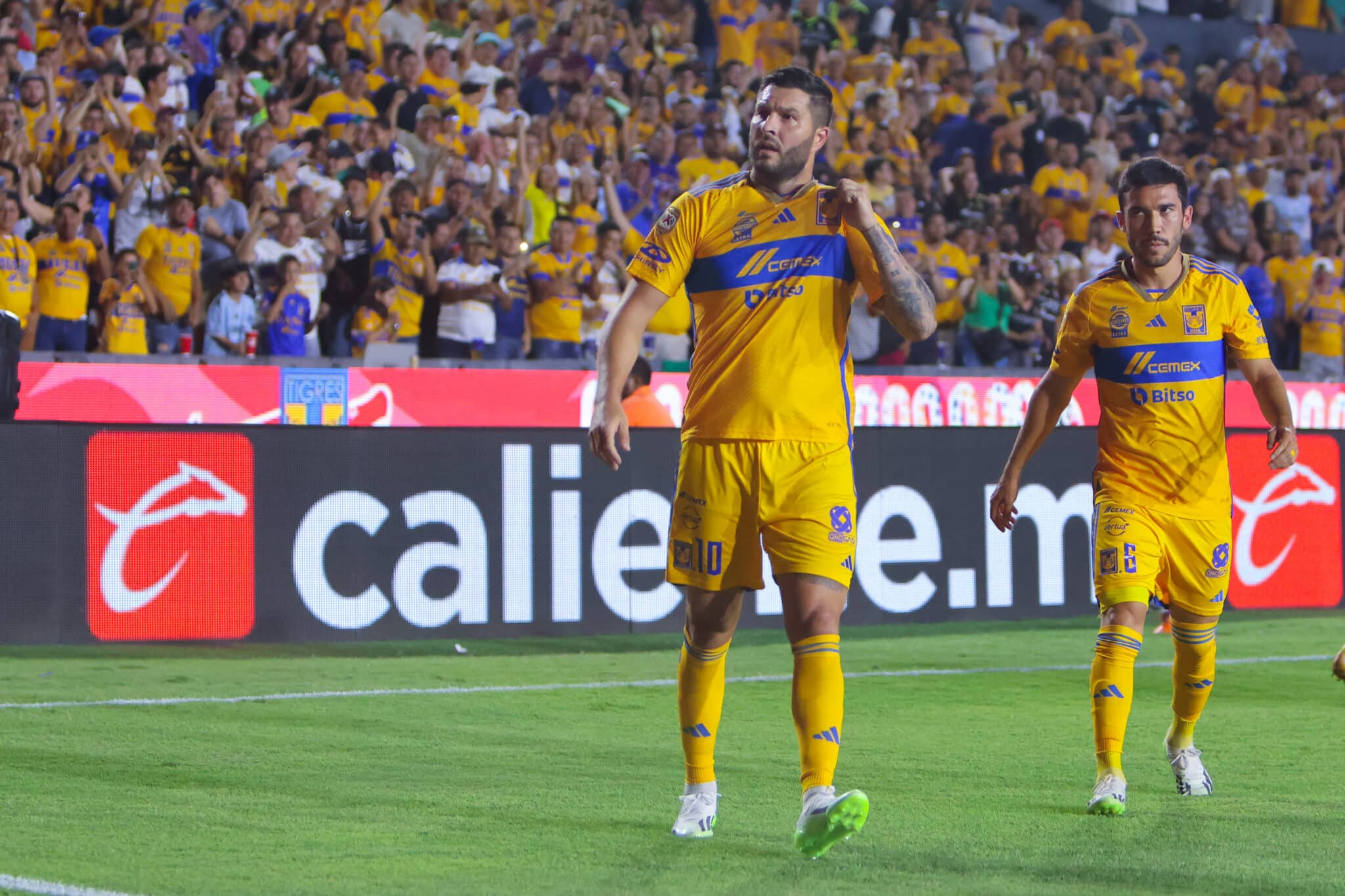 Tigres vs Necaxa liga mx Andre-Pierre Gignac américa vs tigres