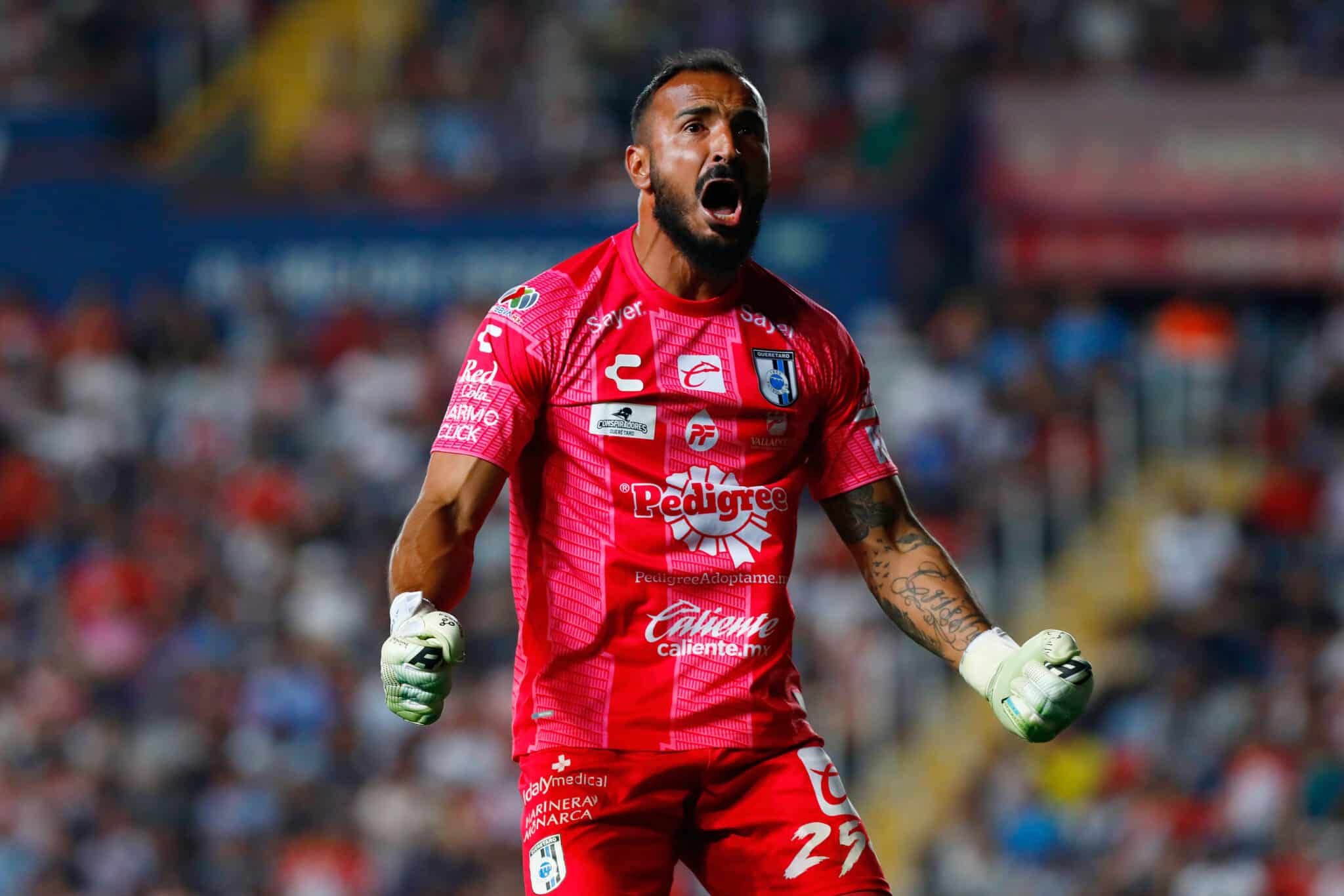 América vs Querétaro vs Chivas Guillermo Allison liga mx Querétaro vs Cruz Azul