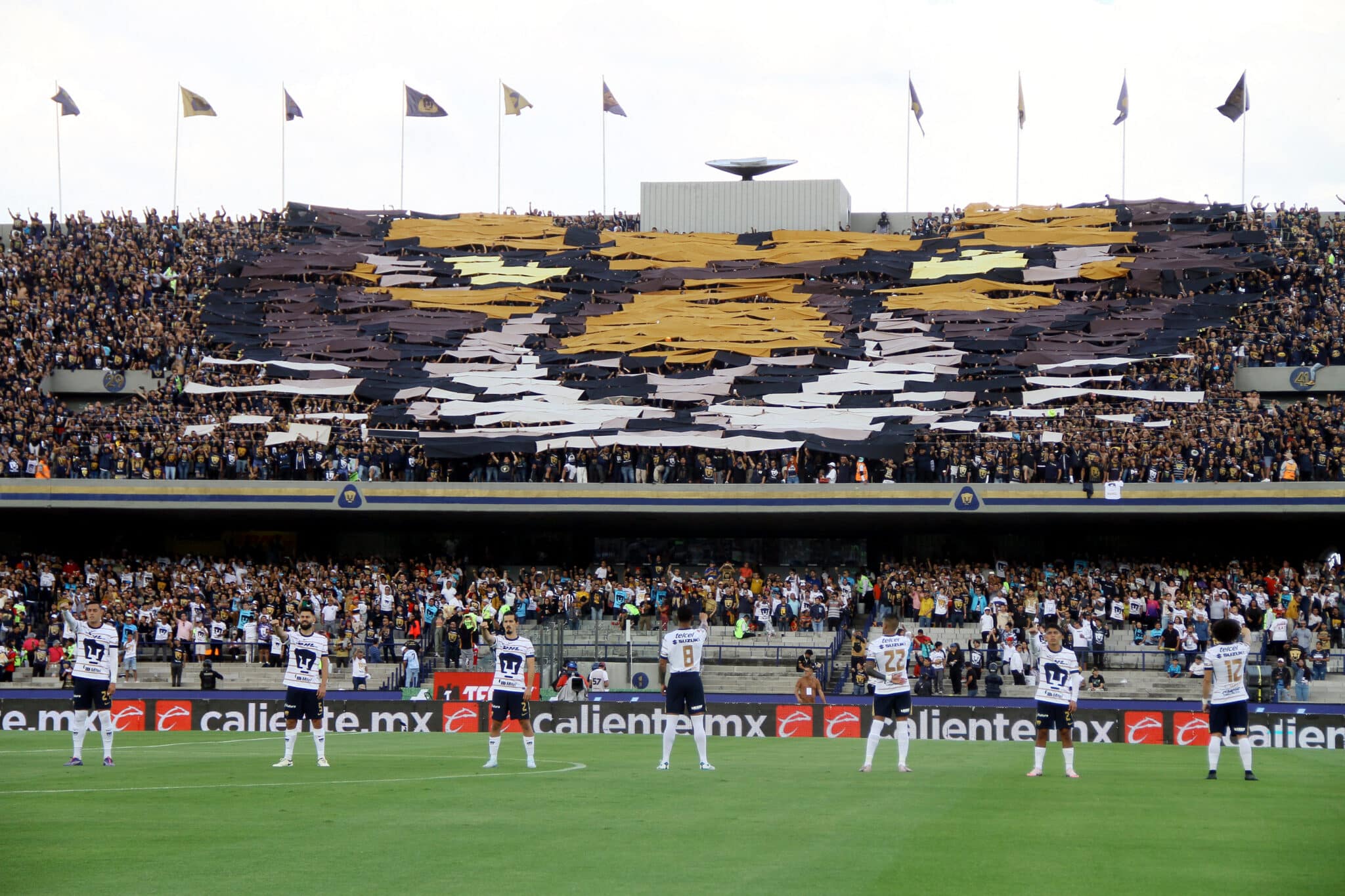 se viene Tigres vs pUMAS HOY