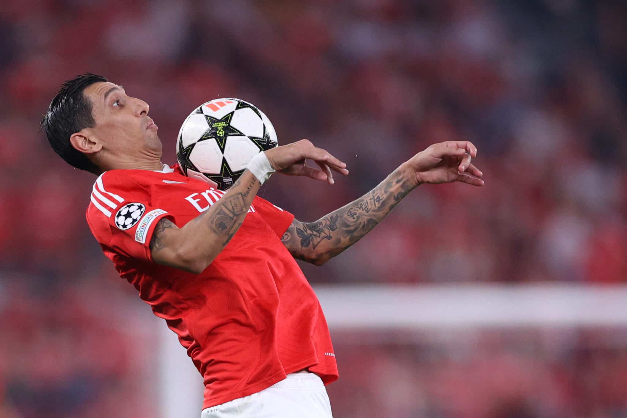 Ángel Di María hoy, presente en un nuevo compromiso del Benfica