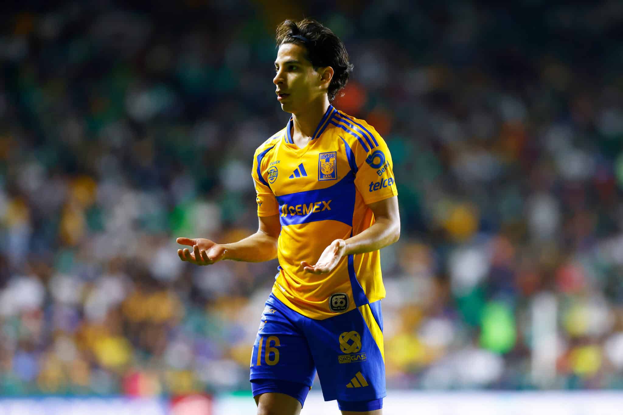 Tigres hoy por la Liga MX