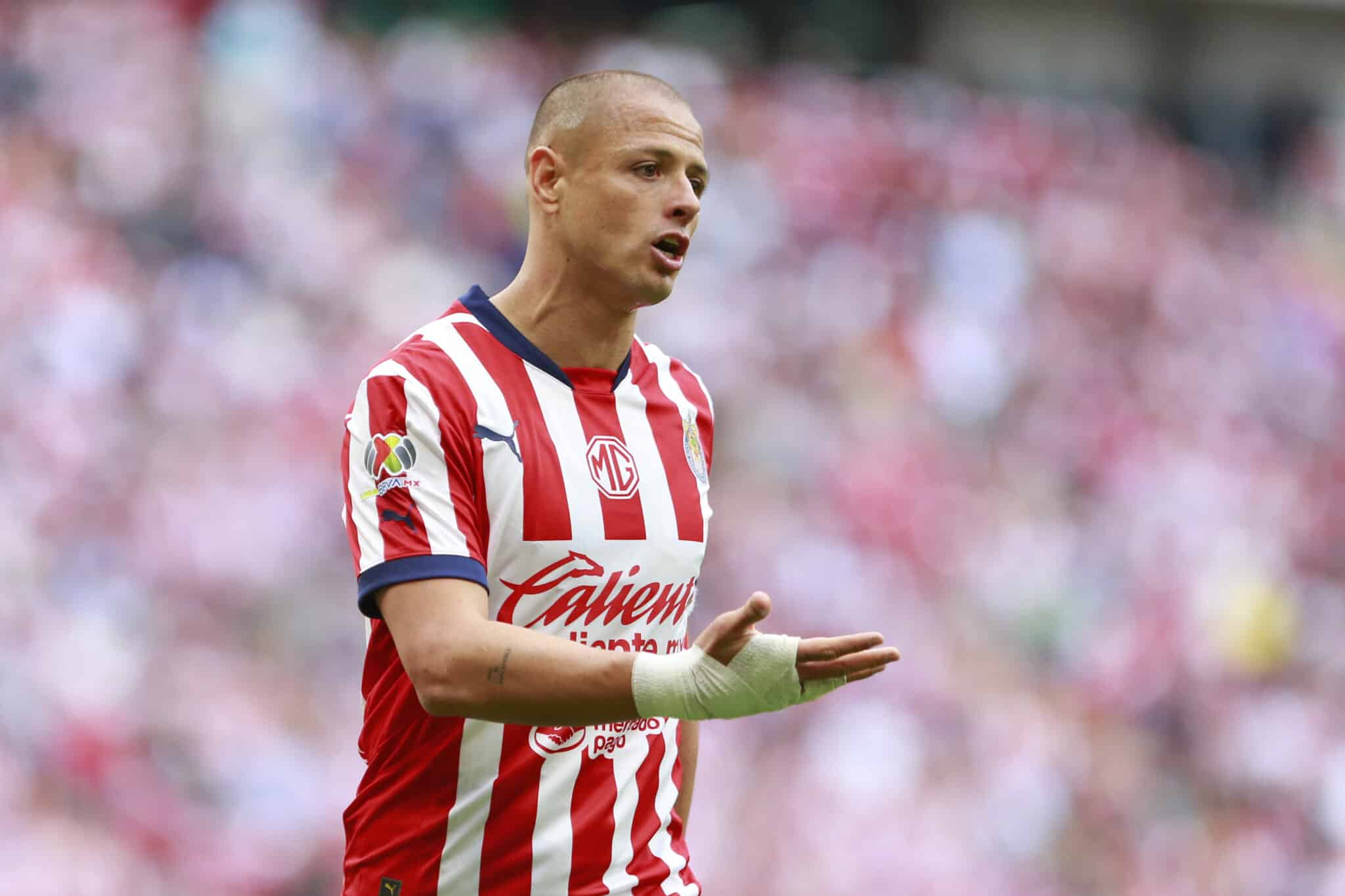 Chivas en la Liga MX