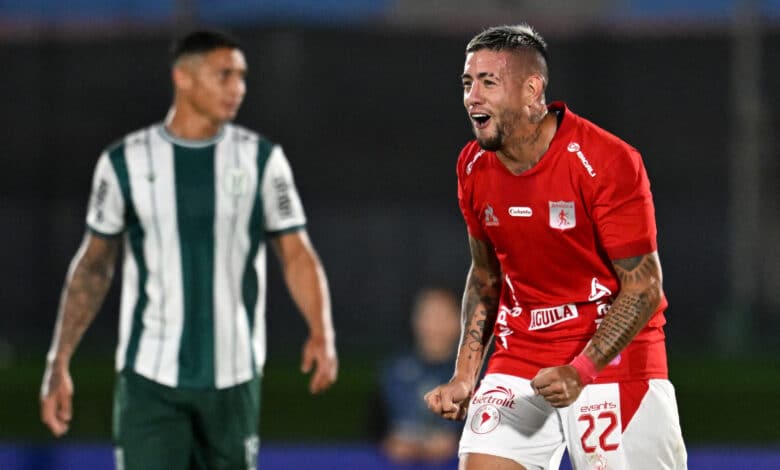 rodrigo holgado