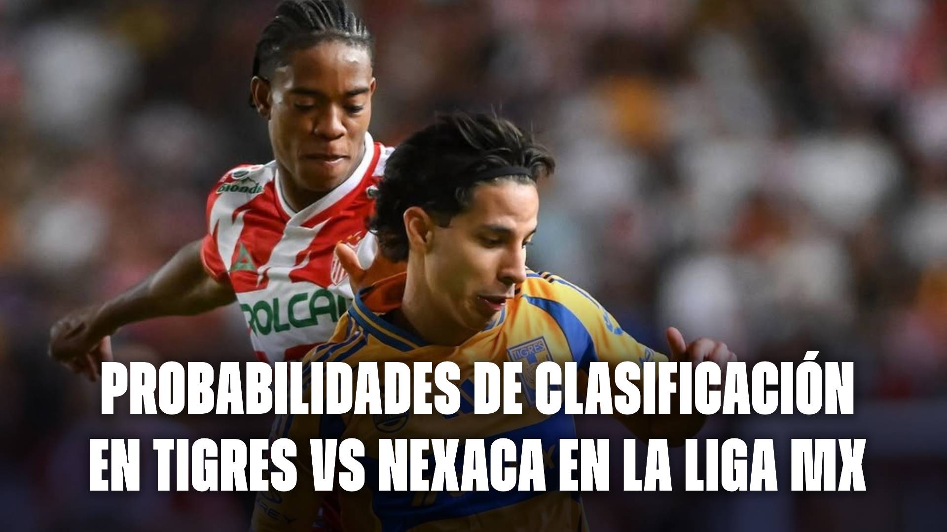 Tigres vs Nexaca: probabilidades de clasificación en la Liga MX.