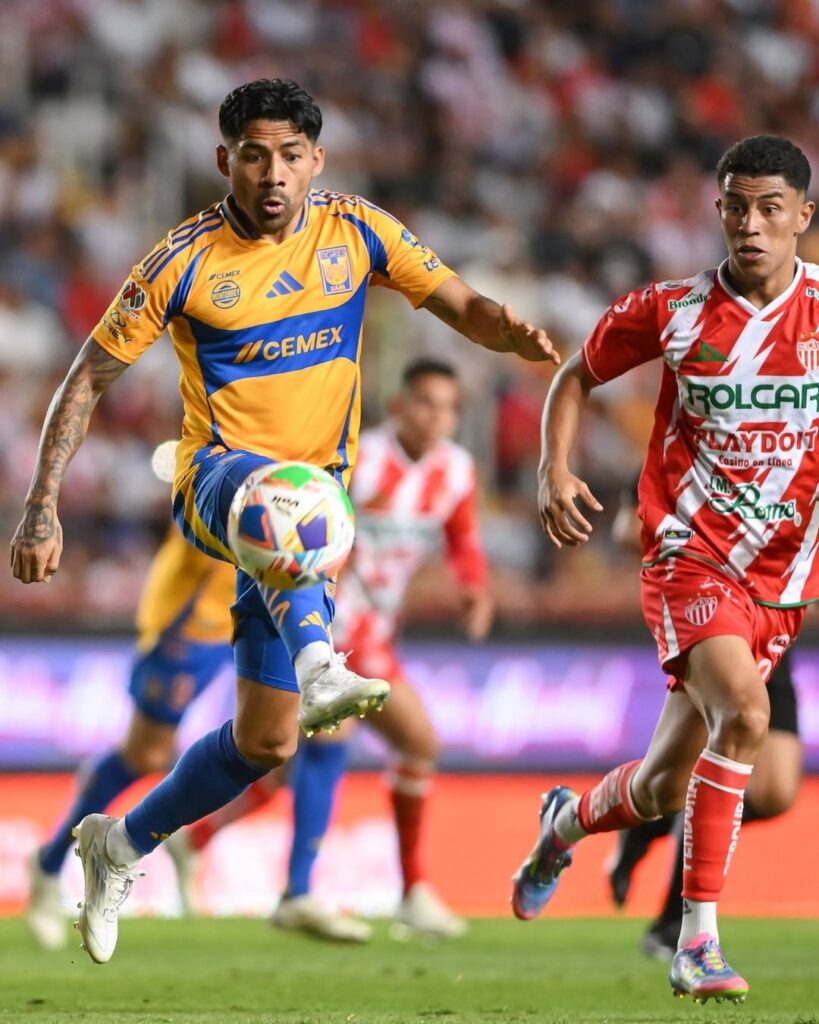 Tigres vs Nexaca: probabilidades de clasificación en la Liga MX.