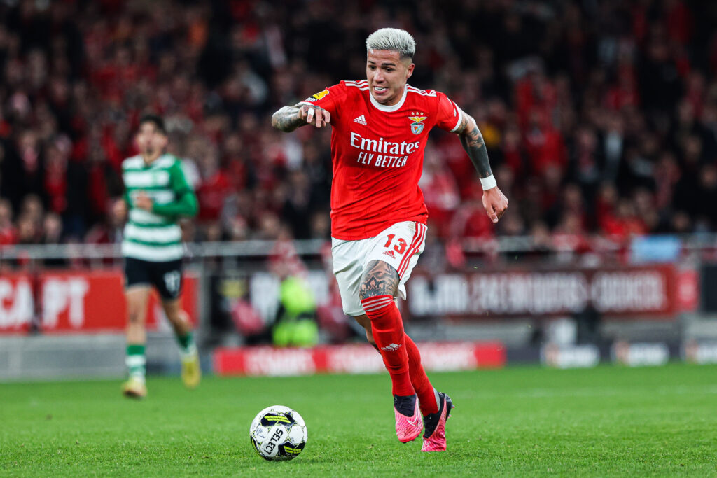 Enzo Fernández Benfica