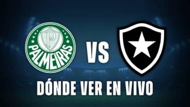 Palmeiras vs Botafogo