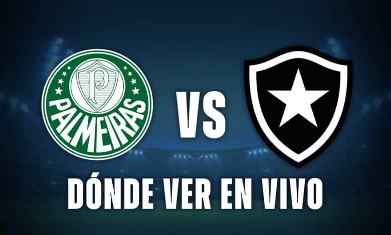 Palmeiras vs Botafogo
