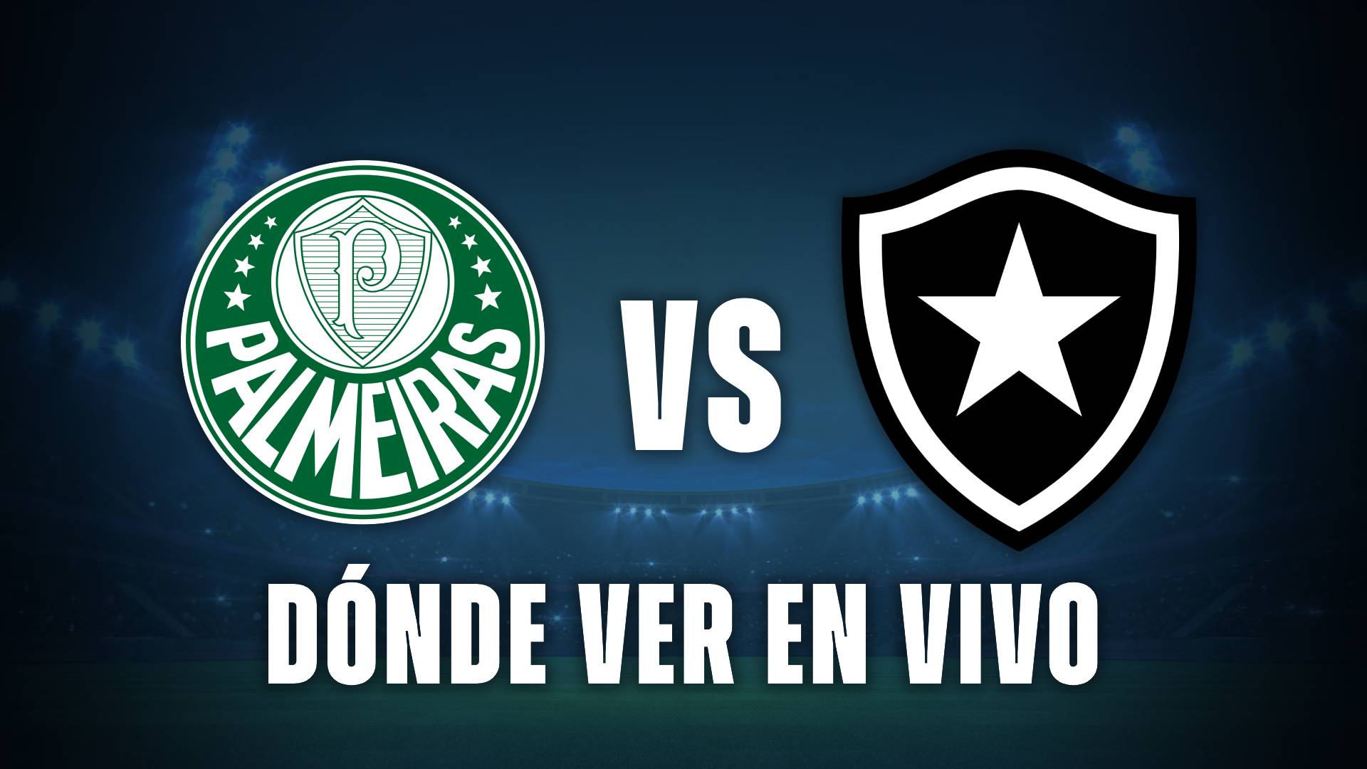 Palmeiras vs Botafogo
