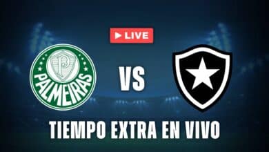 Palmeiras vs Botafogo en vivo