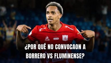 América vs Fluminense Copa Sudamericana 2025 Dylan Borrero