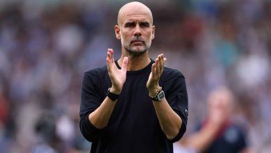 se viene la premier league