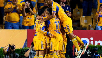 Tigres 2025